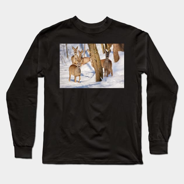 Roe deer in the forest Long Sleeve T-Shirt by naturalis